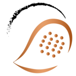 St. Anna Kinderkrebsforschung Padel Cup presented by Padelbase - Starter