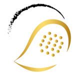 4. Salzburger Padel Cup 2025