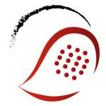 SALZBURGER LANDESMEISTERSCHAFTEN 2025 – HERREN