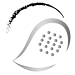 Igel Hilfe Freilassing